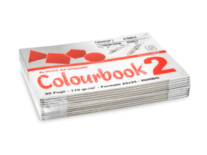 BLOCCO C.BOOK/2 24x33 RUVIDO 110G FG.20*