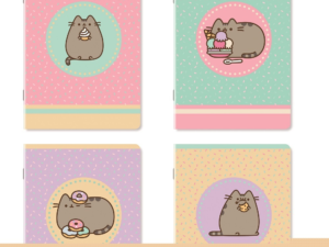 MAXI 100G 24FF+1 A PUSHEEN