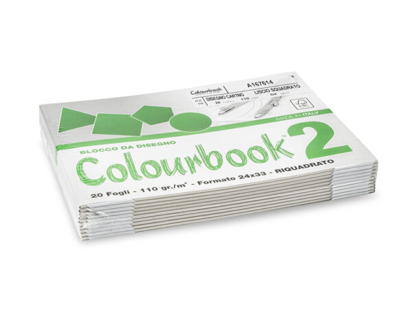 BLOCCO C.BOOK/2 24x33 SQD. 110G FG.20*