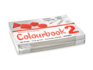 BLOCCO C.BOOK/2 24x33 RUVIDO 110G FG.20*