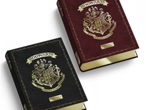 HARRY POTTER DIARIO 16 MESI LIMITED EDITION